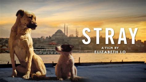 Strays: Directed by Josh Greenbaum. With Will Ferrell, Jamie Foxx, Isla Fisher, Randall Park. An abandoned dog teams up with other strays to get revenge on his former owner.